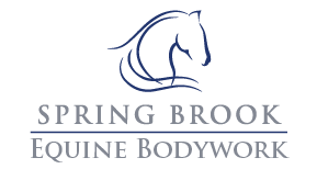 Spring Brook Equine Bodywork
